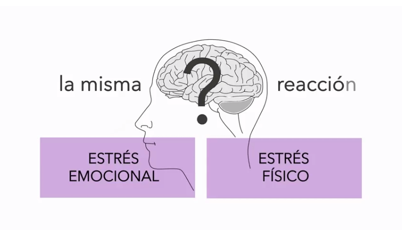 como nos afecta el estres