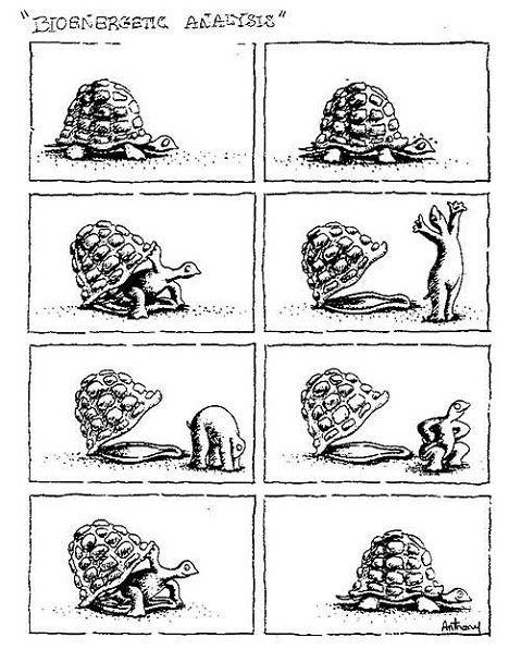 proceso psicoterapeutico
